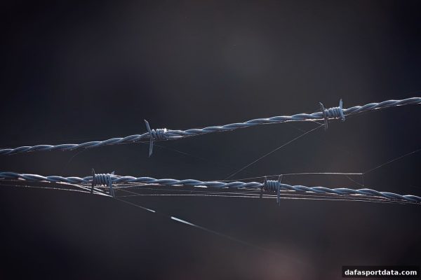 大发体育深度解析：在线娱乐中的风险识别与防控全攻略